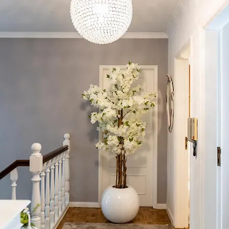 Maria Reall's Дом отдыха Брага