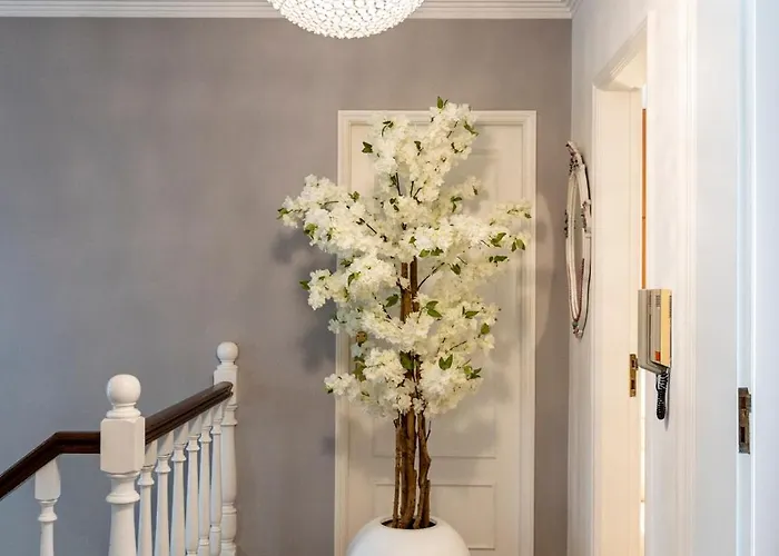 Maria Reall's Σπίτι διακοπών Μπράγκα